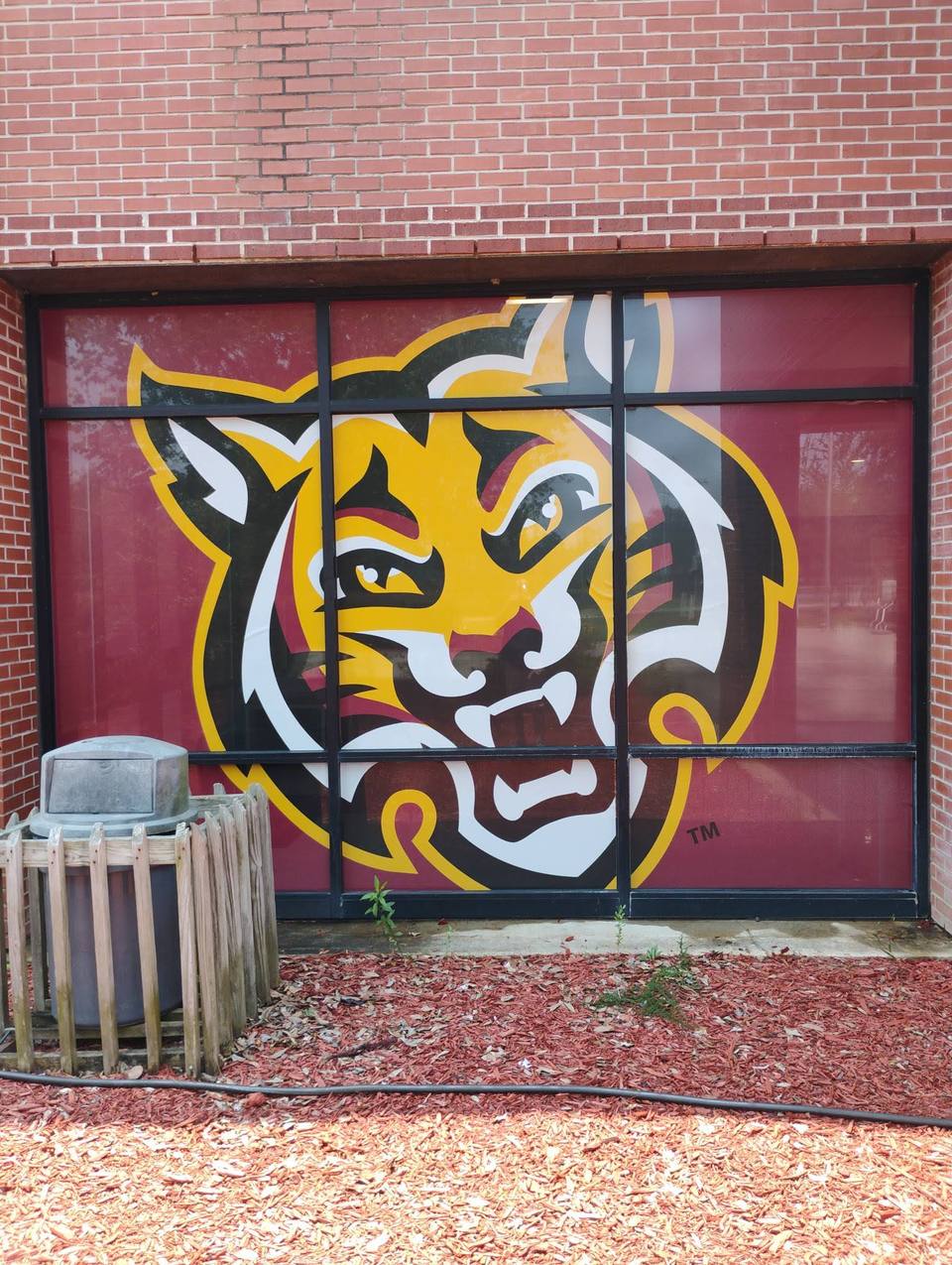 Window and vinyl graphics